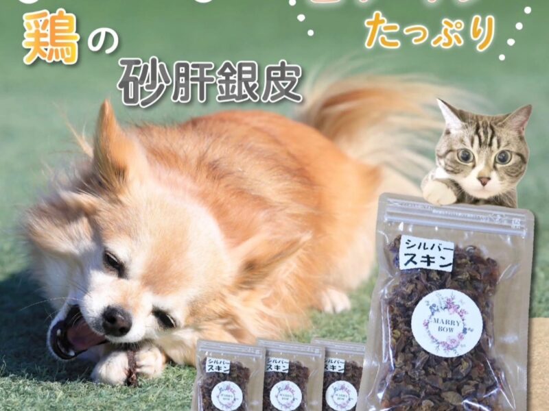 ふるさと納税でも購入可能となりました